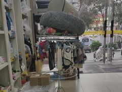 -米苏动物医院·犬猫专科·骨科外科内窥镜