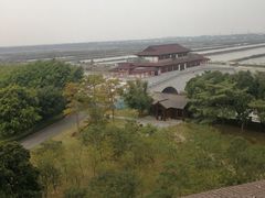 -大湾区中央湿地公园