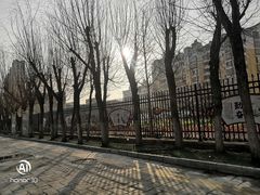 -秦皇岛市西港路小学