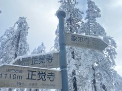 -瓦屋山景区