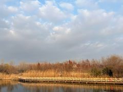 -溱湖国家湿地公园