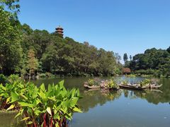 -深圳仙湖植物园-停车场