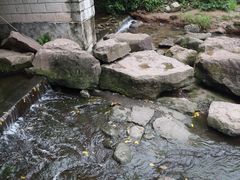 -重庆彩云湖湿地公园