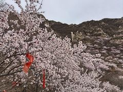-鸡鸣山旅游风景区