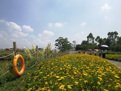 -光明小镇欢乐田园