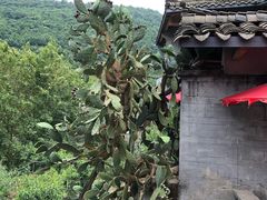 -青林口古镇