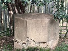 -菊花台公园
