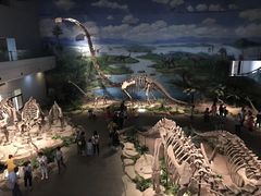 -自贡恐龙博物馆