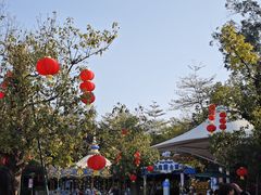 -美的鹭湖探索王国