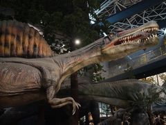 -湖南省地质博物馆