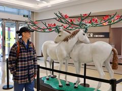 -红星美凯龙北京至尊MALL(东四环中路店)