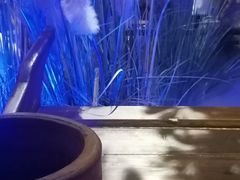 -绿茶餐厅(城西银泰城店)