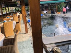 -京北渔家傲