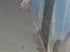 -深圳野生动物园