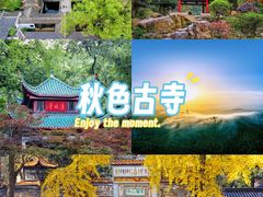 -汴河街