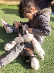 -萌宠亲子动物乐园(槐房万达店)