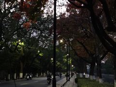 -西园戒幢律寺