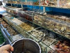 -仙螺岛海鲜自助餐厅(总店)