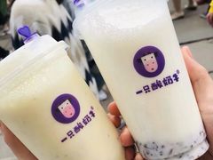-一只酸奶牛(八一路店)