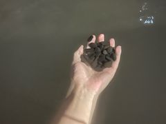 -咸宁万豪温泉谷度假区