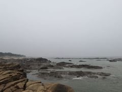 -刘家湾赶海园