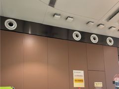 -麦当劳(北京大兴机场二层国内到达(安检外)店)