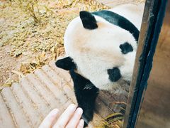 -黔灵山公园