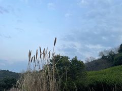 -龙寺生态园
