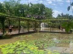 -中国科学院西双版纳热带植物园