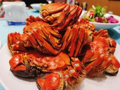 -万荣烤鸭店·北京菜(天坛店)