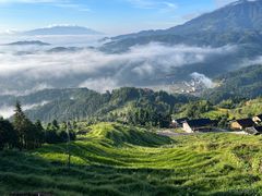 -紫鹊界梯田景区