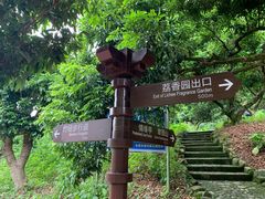 景点-大屏嶂森林公园