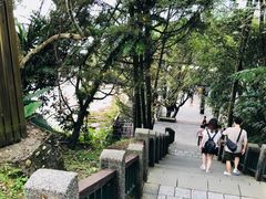 -金盆阿嬷香菇茶叶蛋(玄光店)