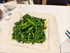 -正兴蜀园(科技园区店)