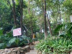 -火炉山森林公园