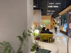 -帕帕拉兹宠物(亚洲旗舰店)