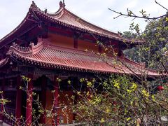 -都江堰普照寺