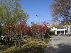 -北京石刻艺术博物馆(五塔寺)