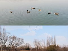 -奥林匹克森林公园南门-停车场