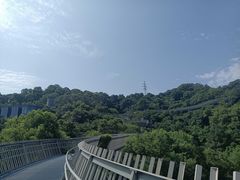 -福道