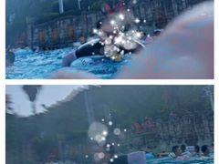 -重庆海昌加勒比海水世界