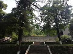 -镇江市南山风景名胜区竹林景区