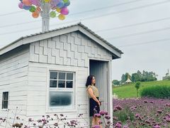 -紫颐香薰山谷景区
