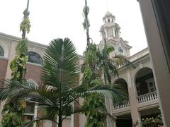 -香港大学