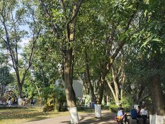 景点-东莞市虎英郊野公园