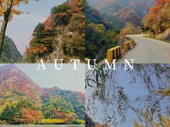 -秦岭终南山世界地质公园翠华山景区