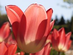 -长春公园(普阳街道)