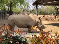 -西安秦岭野生动物园