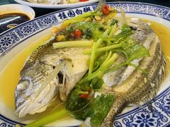 -桂园白粥·潮汕老味道