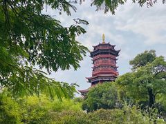 -厦门园林博览苑